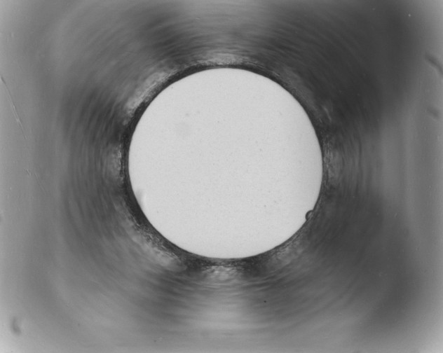 X0000103970159200810171933