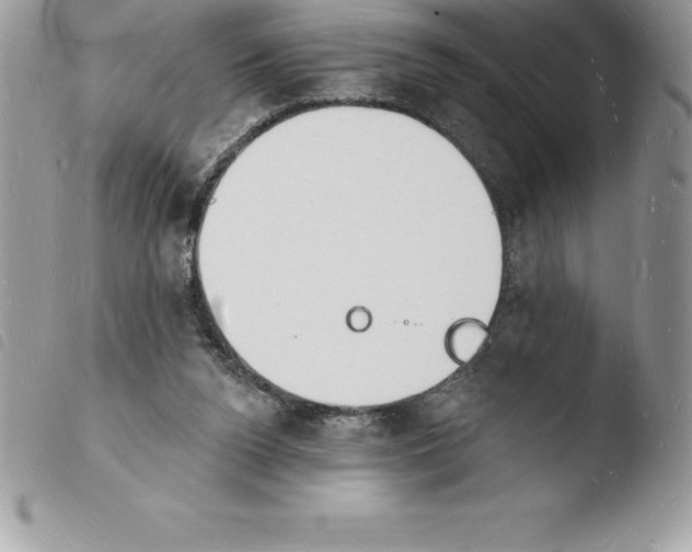 X0000103970160200810171933