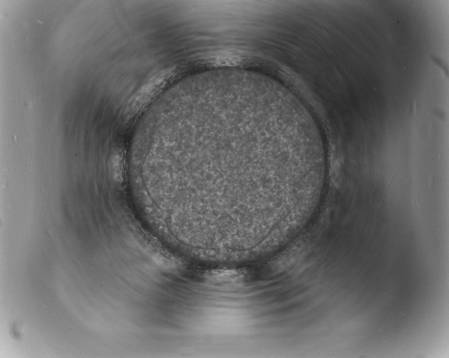 X0000103970161200810171933