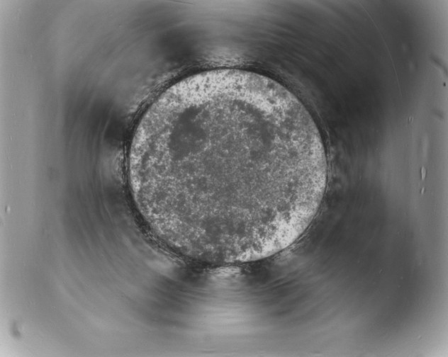 X0000103970162200810171933
