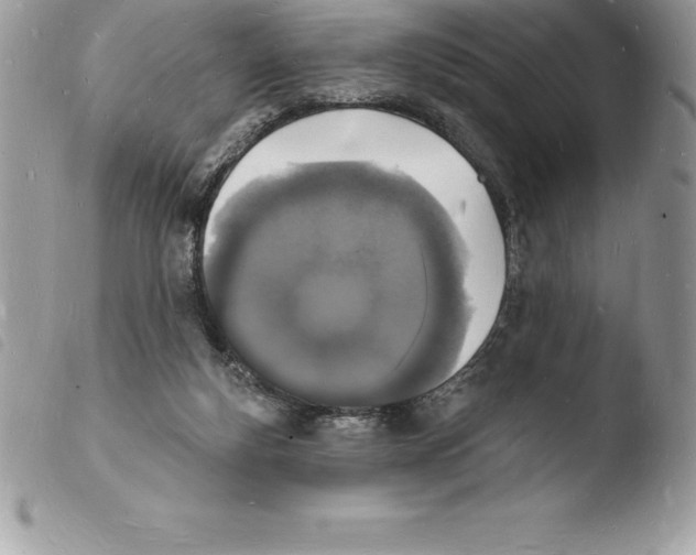 X0000103970163200810171933