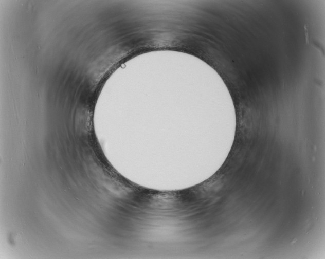 X0000103970164200810171933