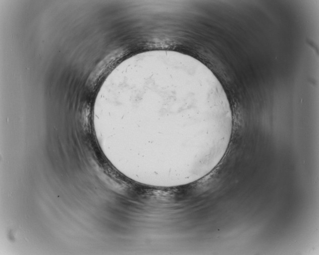 X0000103970166200810171933
