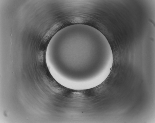 X0000103970167200810171933