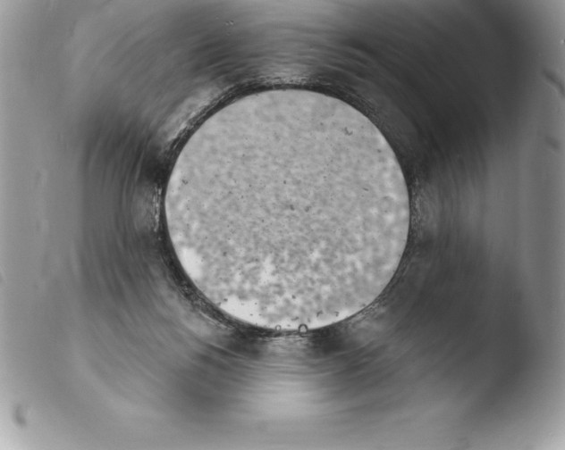 X0000103970168200810171933