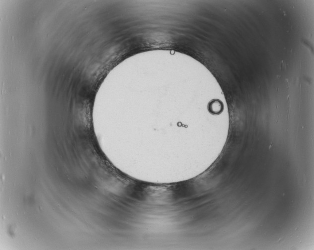X0000103970170200810171933