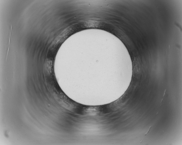 X0000103970171200810171933