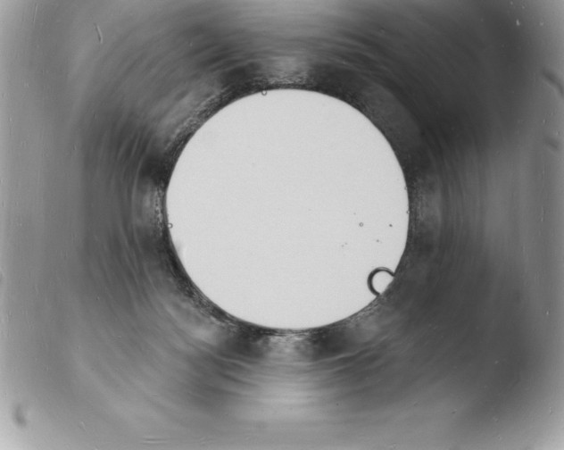 X0000103970172200810171933