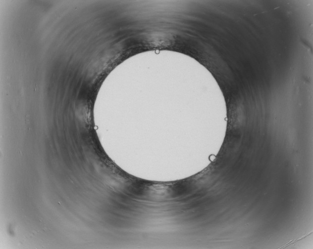 X0000103970176200810171933