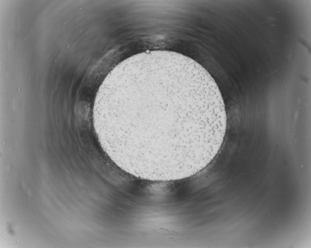 X0000103970178200810171933