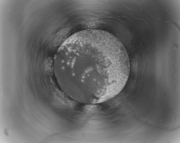X0000103970181200810171933
