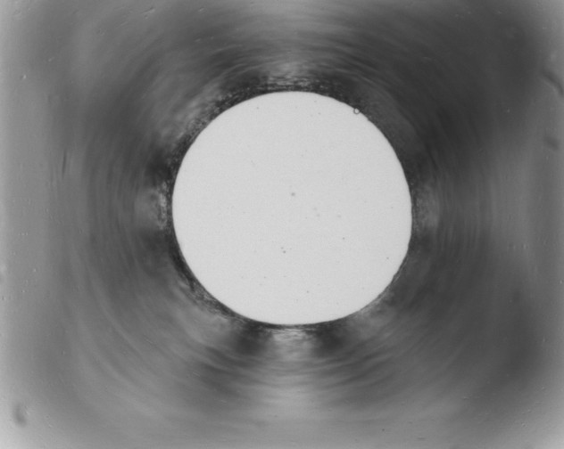 X0000103970183200810171933
