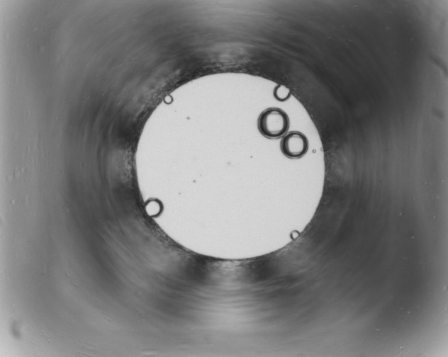 X0000103970184200810171933