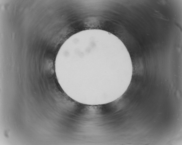 X0000103970187200810171933