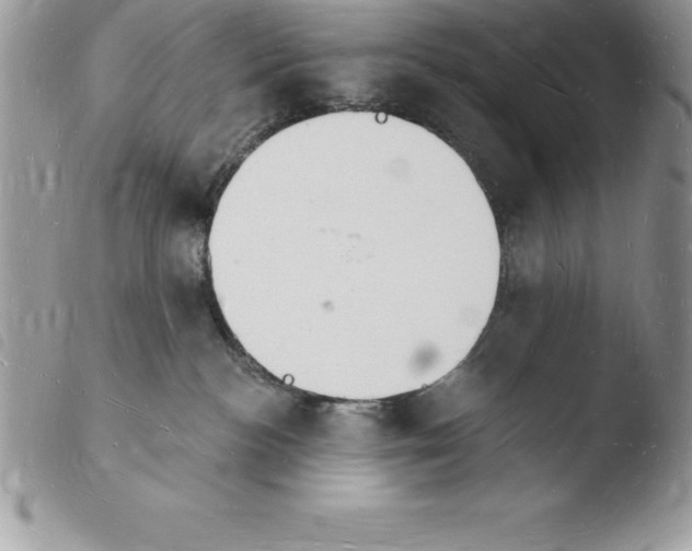 X0000103970188200810171933