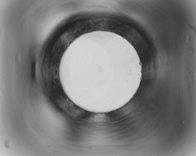 X0000103970189200810171933