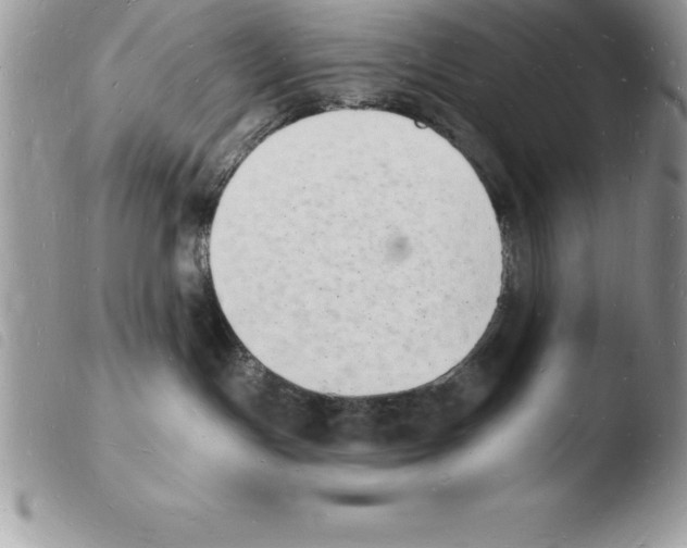 X0000103970191200810171934