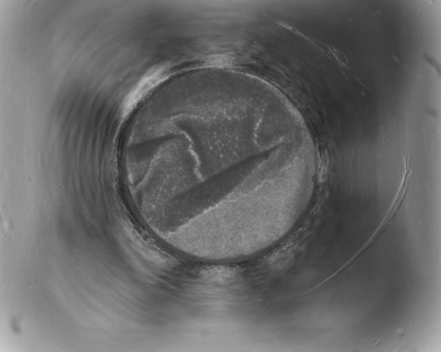 X0000103970198200810171933