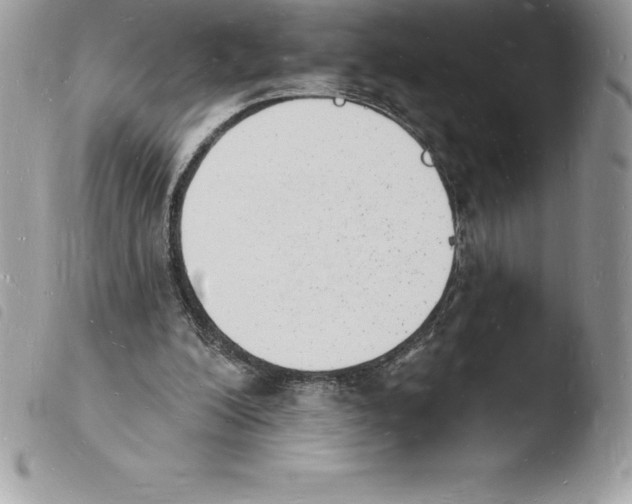 X0000103970200200810171933