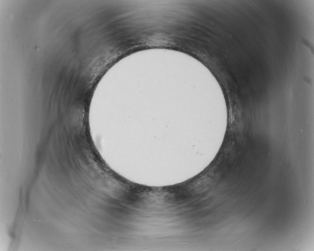 X0000103970201200810171933