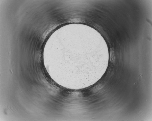 X0000103970204200810171933