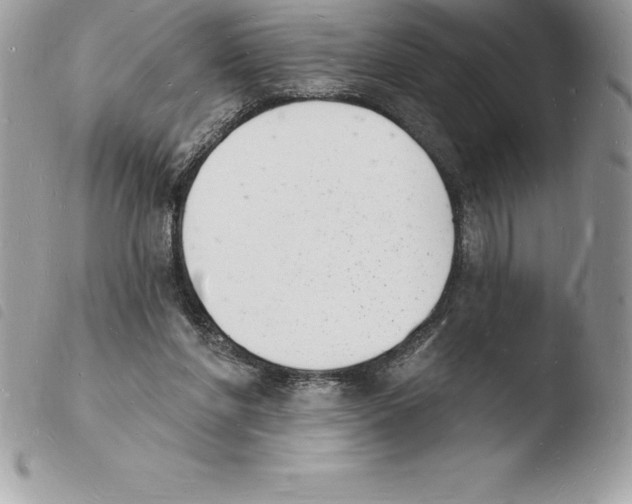 X0000103970206200810171933