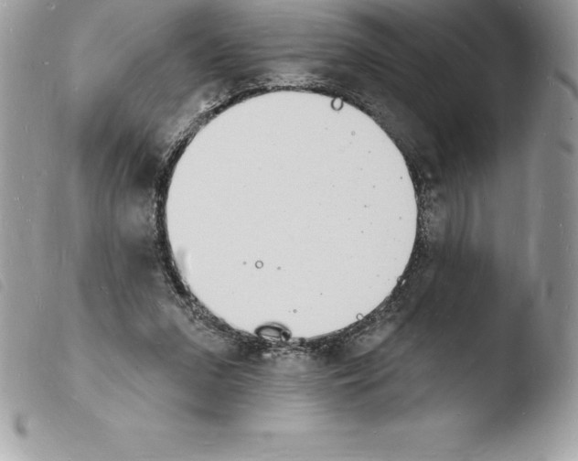 X0000103970207200810171933