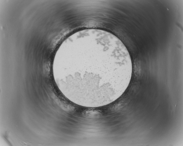 X0000103970208200810171933