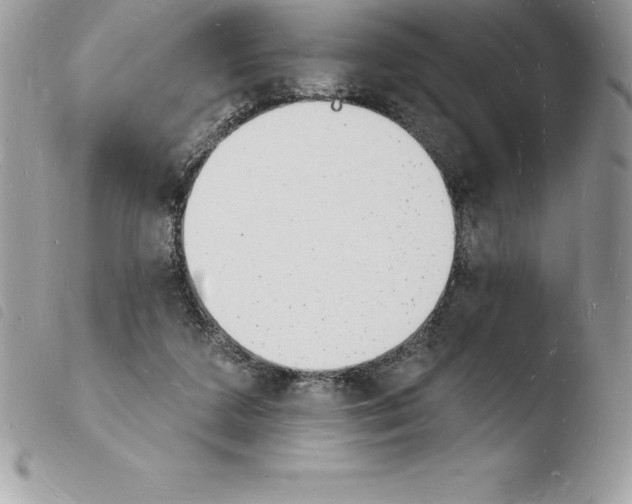 X0000103970211200810171933
