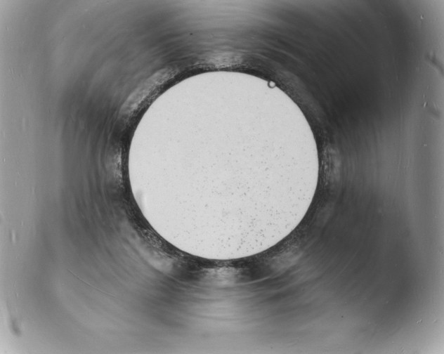 X0000103970212200810171933