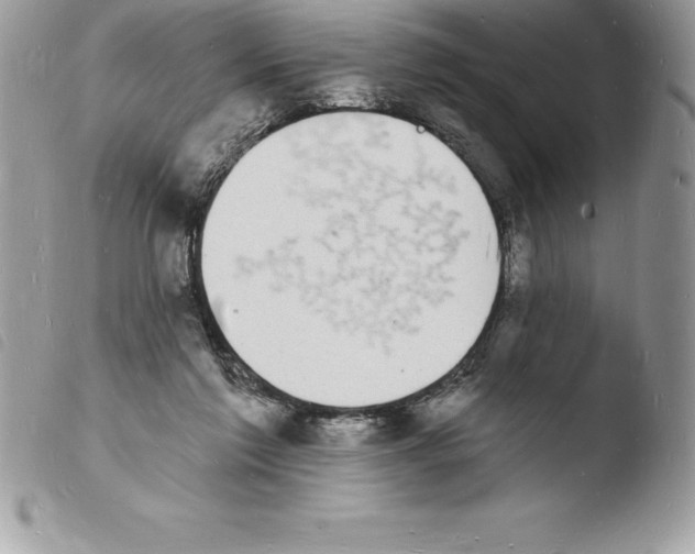 X0000103970213200810171933