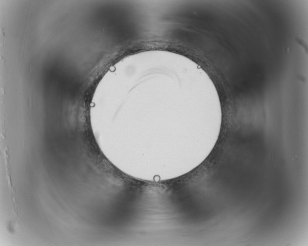 X0000103970215200810171933