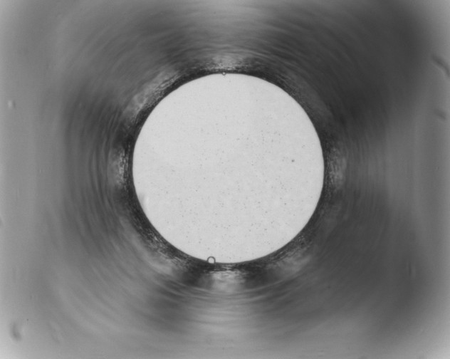 X0000103970216200810171933