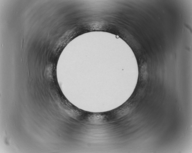 X0000103970217200810171933