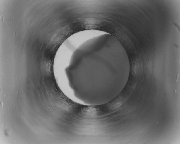 X0000103970219200810171933
