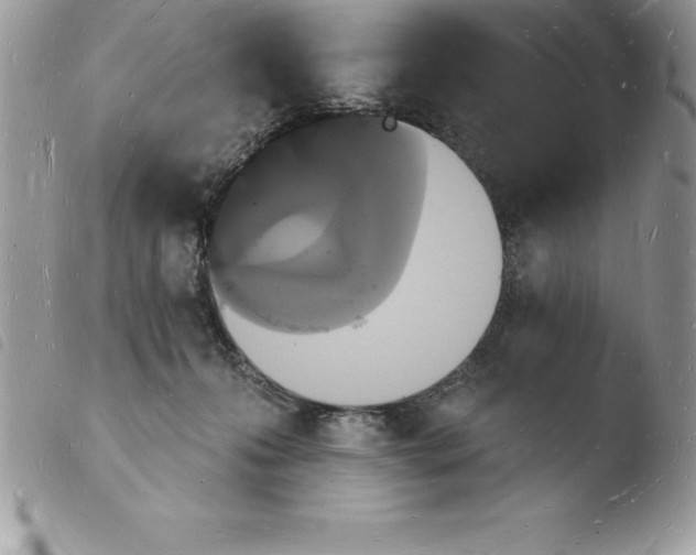X0000103970223200810171932