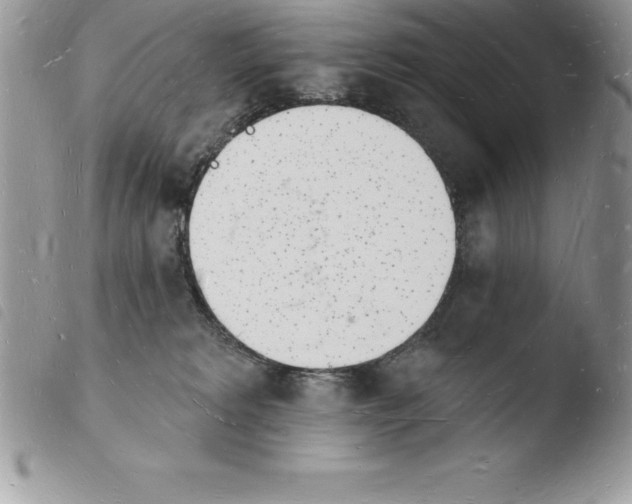 X0000103970229200810171932