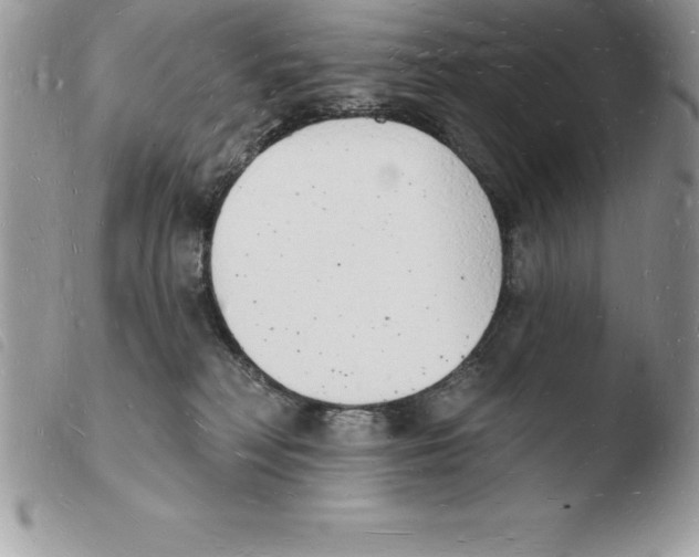 X0000103970230200810171932