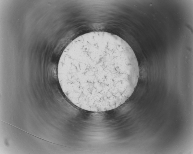 X0000103970238200810171932