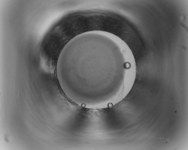 X0000103970239200810171932