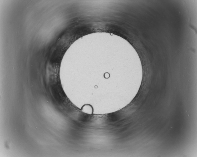X0000103970240200810171932