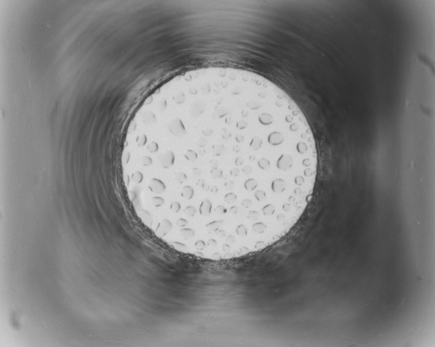 X0000103970241200810171932