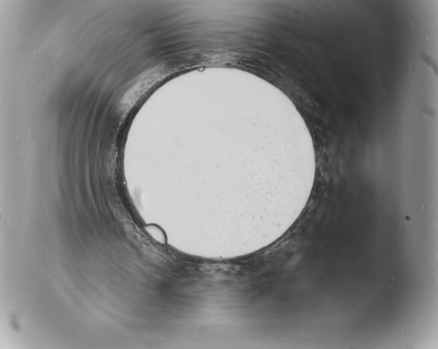X0000103970242200810171932