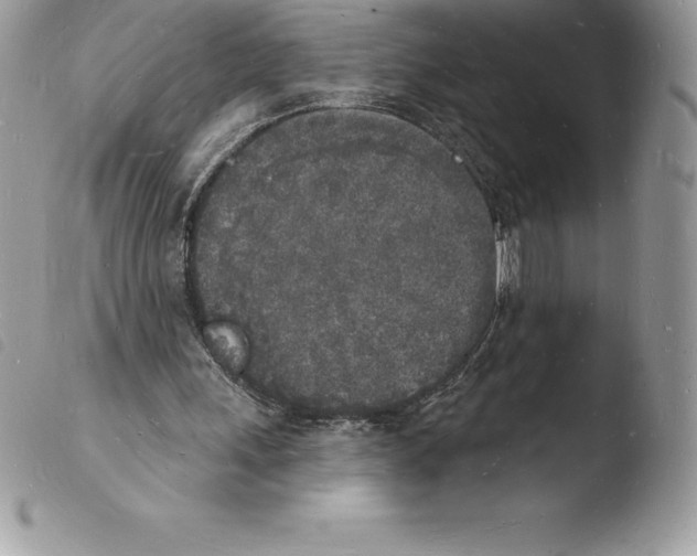X0000103970243200810171932
