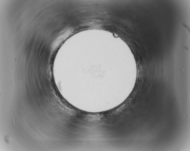 X0000103970245200810171932