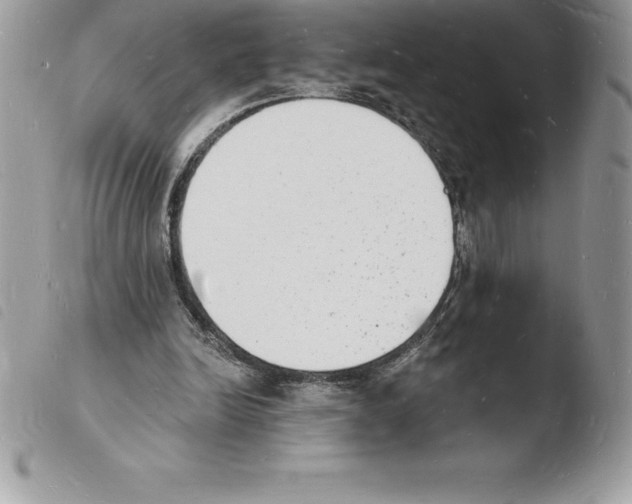 X0000103970246200810171932