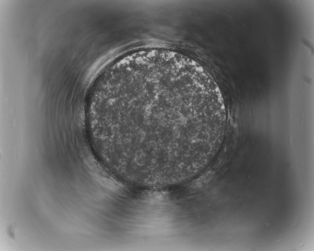 X0000103970247200810171932