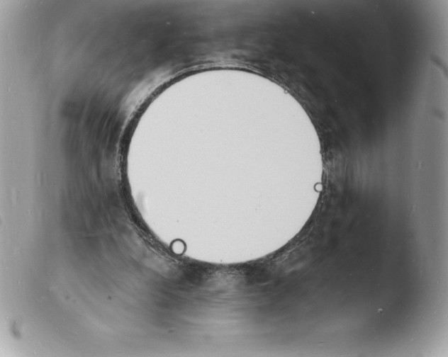 X0000103970248200810171932