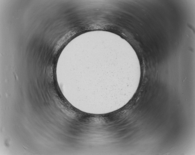 X0000103970250200810171932