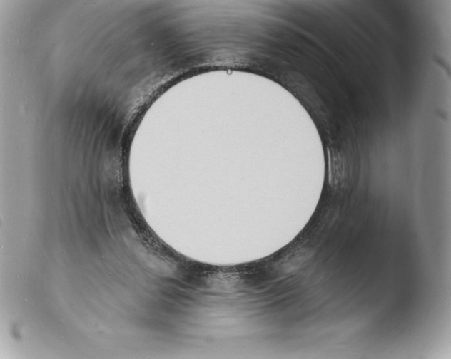 X0000103970252200810171932